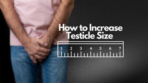 The Facts About Your Testicles: Size, Pain, Semen 